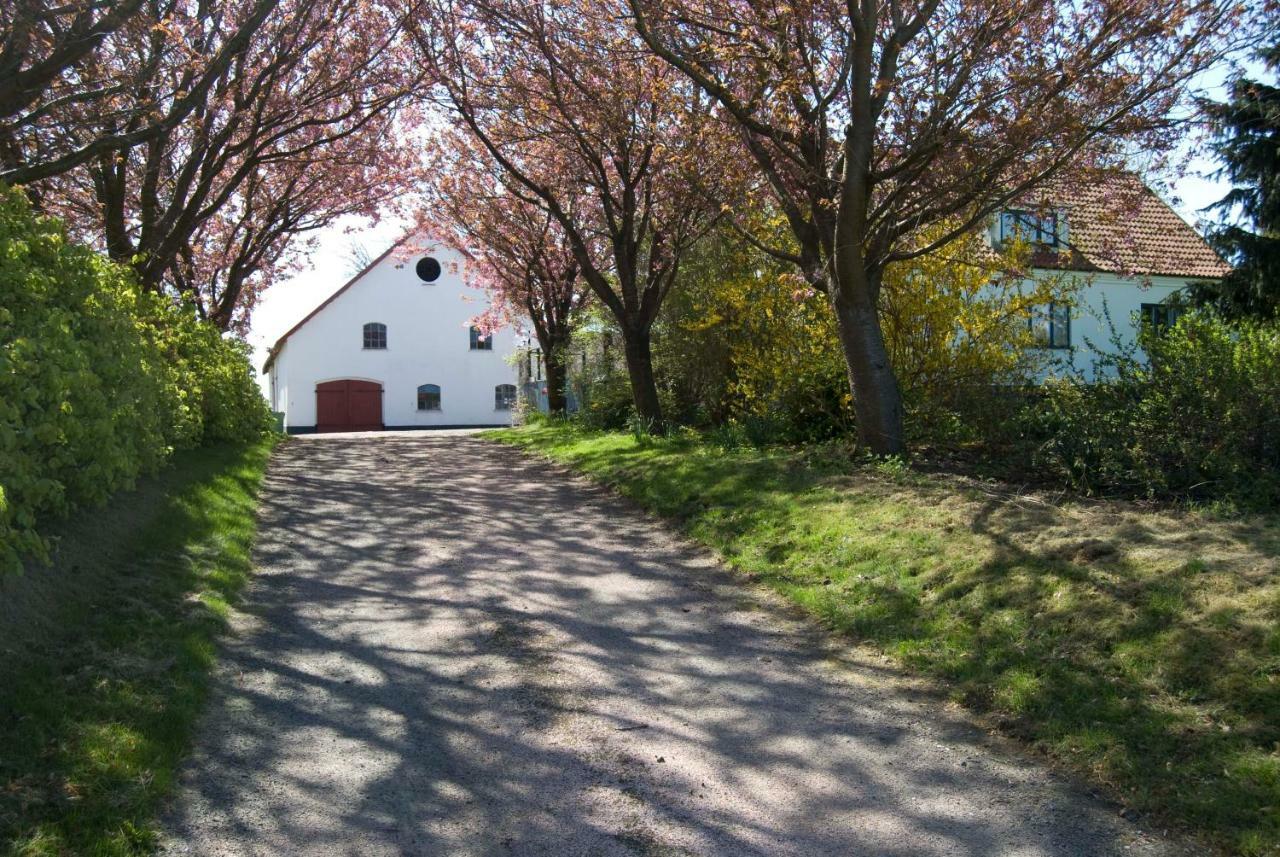 Peterslund Appartement Östra Tommarp Buitenkant foto