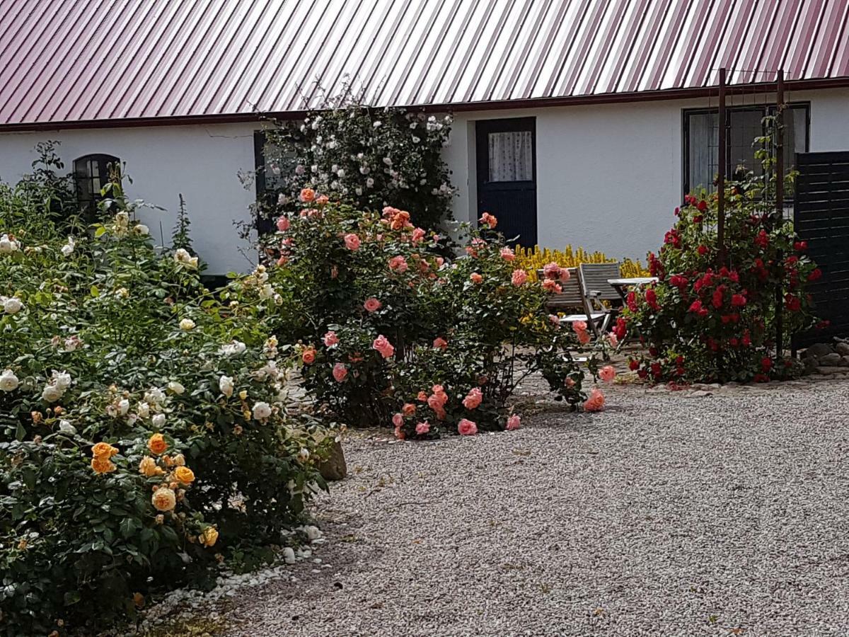 Peterslund Appartement Östra Tommarp Buitenkant foto